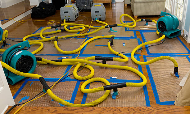 Professional Flood Damage Restoration technician working in Enville, TN